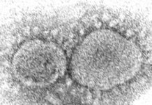 Coronavirus Origins Still a Mystery 3 Years Into Pandemic