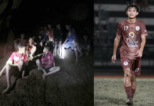 13 Wild Boars Paid Tribute to “Dom” After His Sudden Death