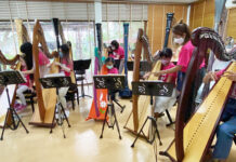 A Ten Hour Harp Course for Ten People, Apply Now