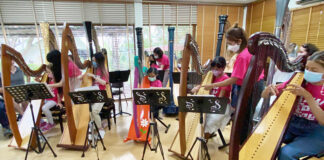 A Ten Hour Harp Course for Ten People, Apply Now