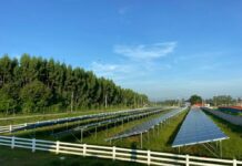 CP Foods plans to install solar energy panels at 180 facilities by 2023.