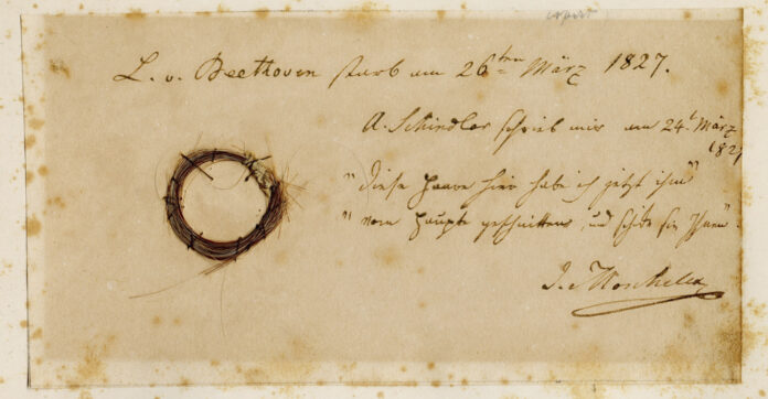 Beethoven DNA
