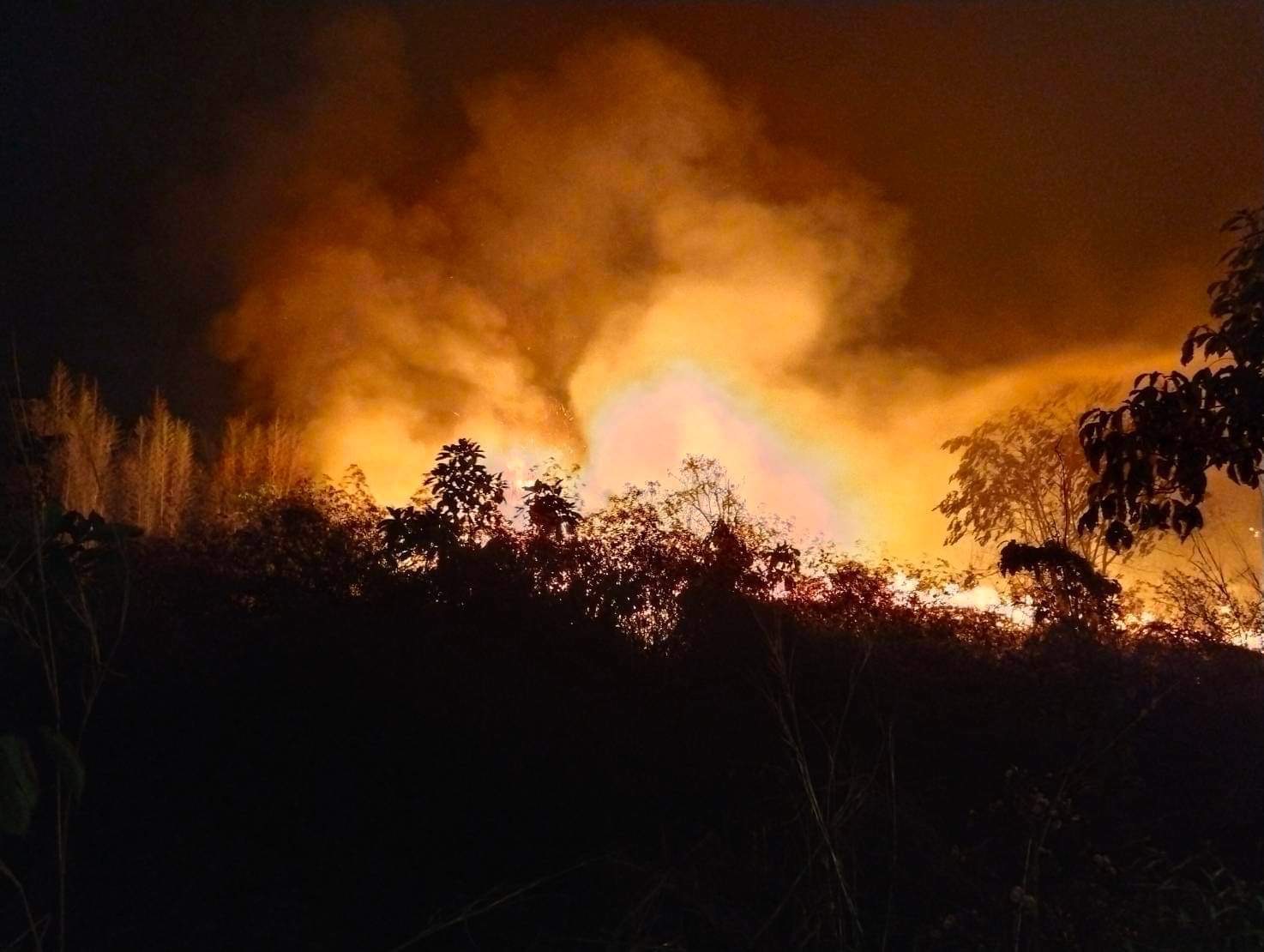 chiangmai fire