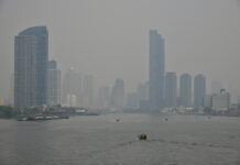 PM2.5 Pollution in Bangkok Requires a Long-term Solution