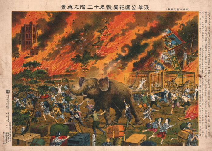 elephant kanto1