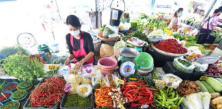 How Deep the Crisis of Thais’ Increasing Debt