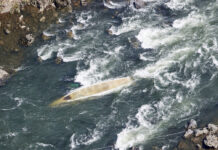 1 Dead, 1 Missing as Kyoto Tour Boat With 29 Aboard Capsizes