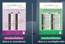 Green and Purple Ballot Papers for the Thai General Election