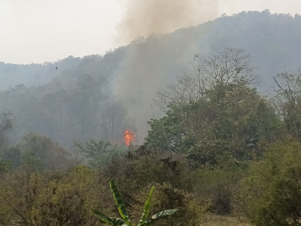 chiangrai1april2