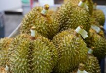 Philippines Ships 1st Batch of Durian Fruits to China