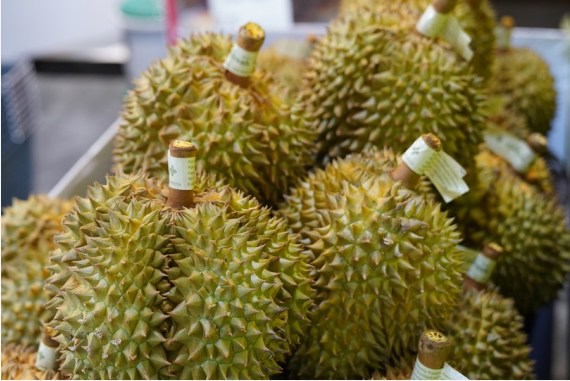 durian phili