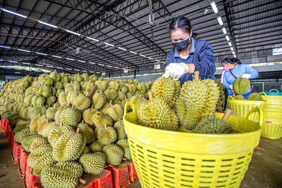 durian railway1