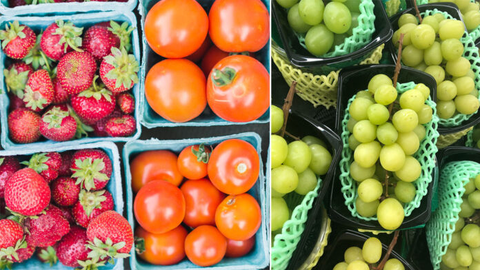 fresh fruit