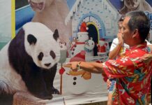 A Girl Cries When She Learns the Beloved Panda Lin Hui Died