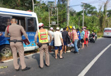 Driver Checks GPS on Phone; Minibus Crashes; Six Tourists Hurt
