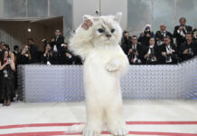 Inside The Met Gala: A Furry Feline Star, A Tardy Cinderella