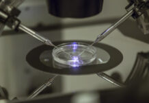 1st Babies Born In Britain Using DNA From 3 People
