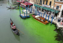 Police Identify Liquid That Turned Venice’s Grand Canal Bright Green