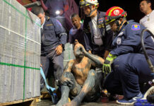 An American Tourist Falls Into 3-meter-deep Sewer For 4 Hours
