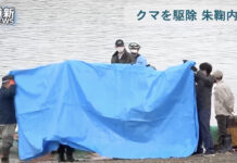 Bear Attack On Angler Suspected After Human Head Found At Japan Lake