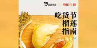 Durian Guide: The Popularity of the Thai Durian in China