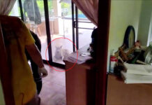 Dog Guards a Swedish Man, 65, Who Died For A Week