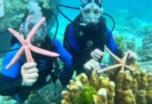 Chinese Tourists Face Charges for Taking Photos with Starfish In this photo circulated on social media, tourists pose with starfishes in the sea off Koh Racha in Phuket Province on June 22, 2023.