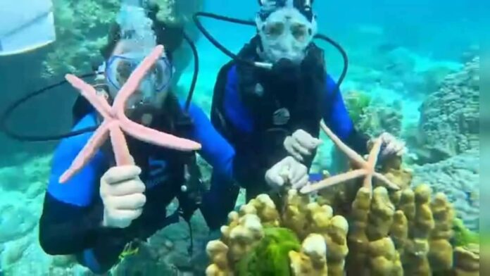In this photo circulated on social media, tourists pose with starfishes in the sea off Koh Racha in Phuket Province on June 22, 2023.