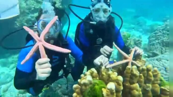 In this photo circulated on social media, tourists pose with starfishes in the sea off Koh Racha in Phuket Province on June 22, 2023. In this photo circulated on social media, tourists pose with starfishes in the sea off Koh Racha in Phuket Province on June 22, 2023.