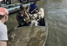Ukrainian Dam Breach: What’s Happening and What’s at Stake