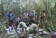 4 Children Lost In The Jungle For 40 Days After A Plane Crash Are Found Alive In Colombia