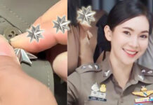 The New Stars of “Captain Cat” That Spark Thai Police Scandal