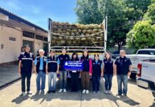 Customs Department Insists the Seized Durians Are From Cambodia