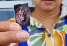 Street Food Vendors Are Targets of Extortion by Thai Officers