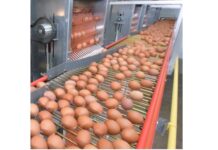 CPF pledges to manage food loss and food waste sustainably.