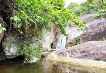 Drought Effects: The National Park Has Closed to Tourists