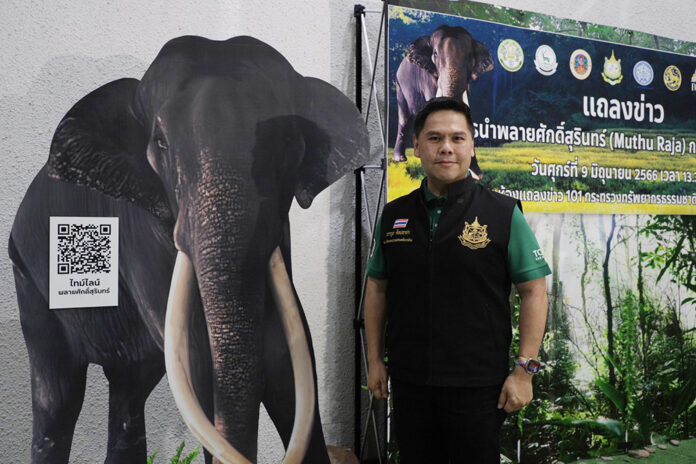 Plai Sak Surin, The Elephant Who Will Return To Thailand, Still