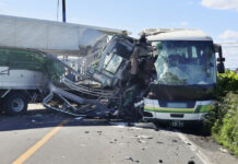 No Sign Truck Used Brakes in Hokkaido Collision That Killed 5: Police
