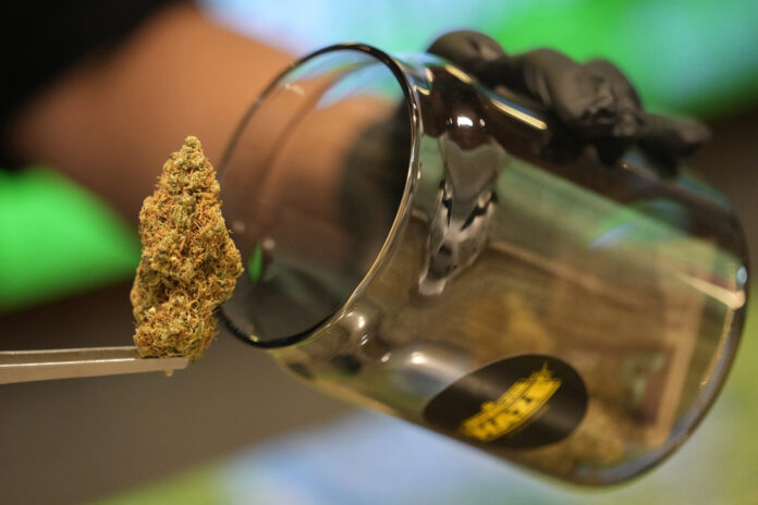 Thailand Marijuana Tourism