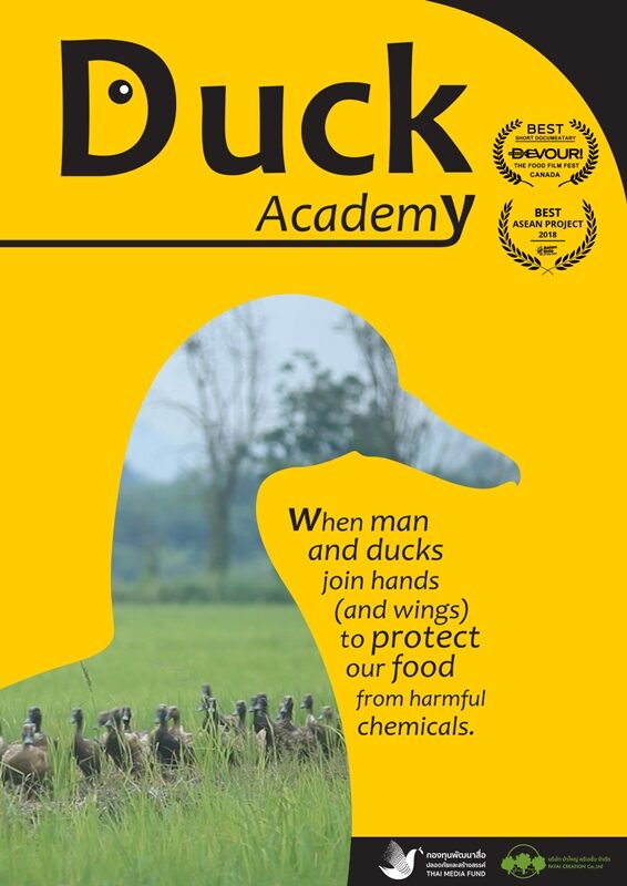 Duck sticker