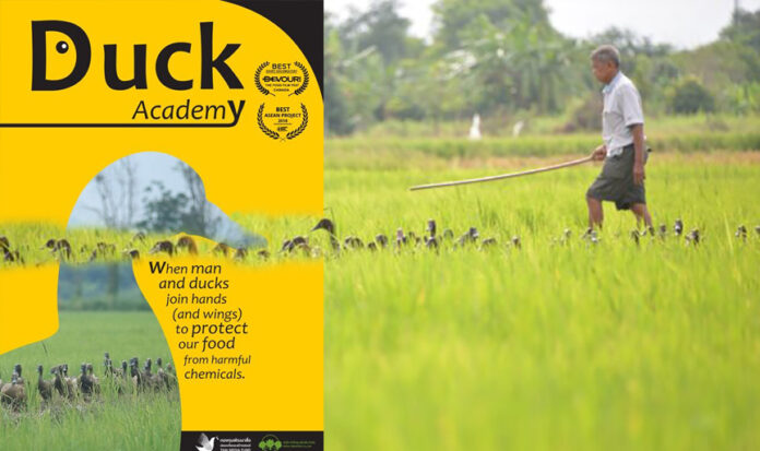 duck academy5