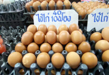 Egg Prices Soar Once Again Hurting Low-Income Households