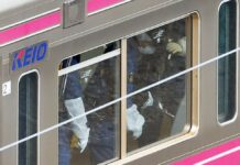 Halloween “Joker” Attacker Gets 23 Years for Tokyo Train Stabbing, Fire