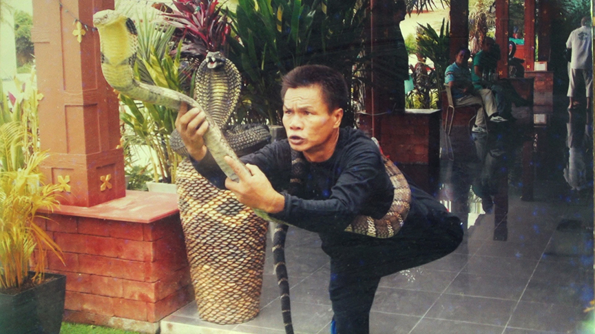 King Cobra Handler Retires After Kissing Snakes For 30 Years