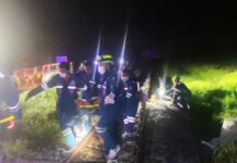 Train Collides With Pickup Truck, 8 People Killed in Tragic Accident