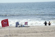 Woman Seriously Injured By Rare Shark Bite Off NYC’s Rockaway Beach