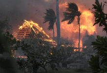 At Least 55 People Have Died on Maui as Fires Burn Through Hawaii, County Reports