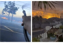 Videos Put Scrutiny On Downed Power Lines As Possible Cause Of Deadly Maui Wildfires