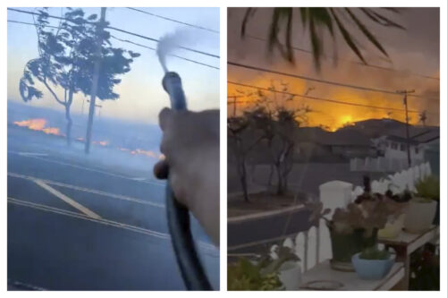 Videos Put Scrutiny On Downed Power Lines As Possible Cause Of Deadly Maui Wildfires