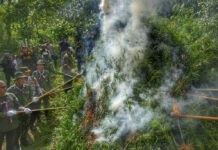 Indonesia Burns Marijuana Plantation That Was Discovered By Drones